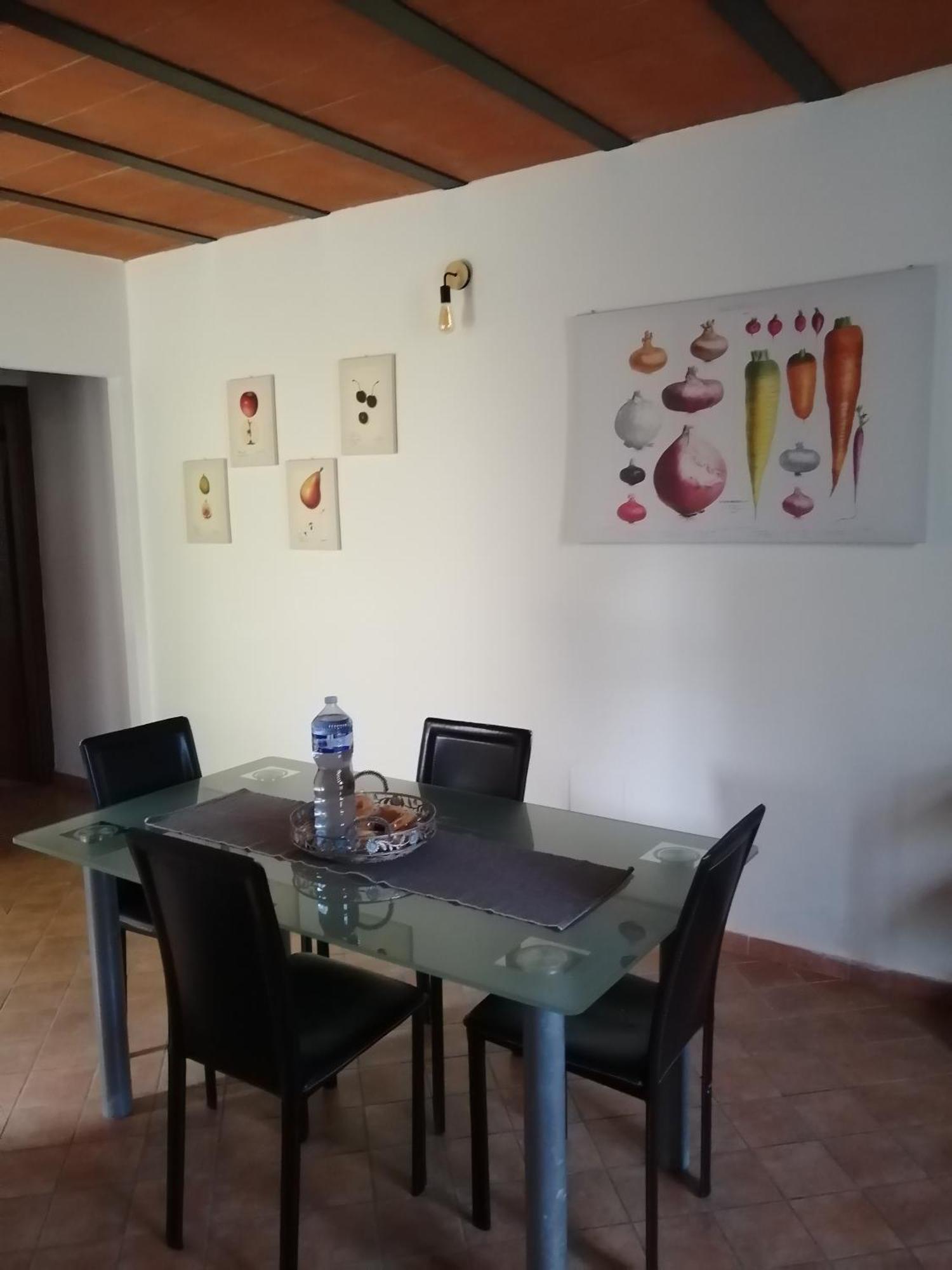 A Casa Mia Appartement Pisa Buitenkant foto