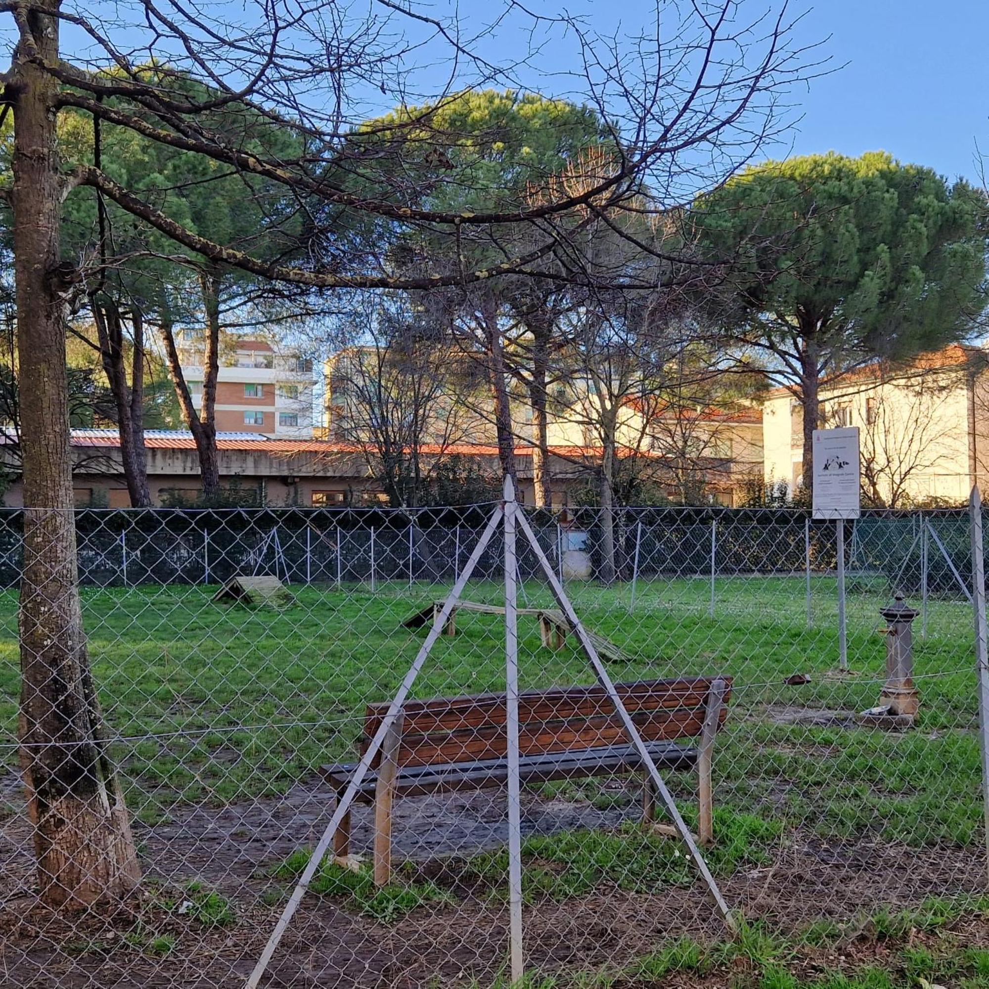 A Casa Mia Appartement Pisa Buitenkant foto